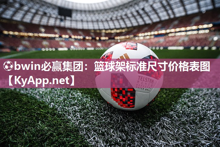 篮球架标准尺寸价格表图